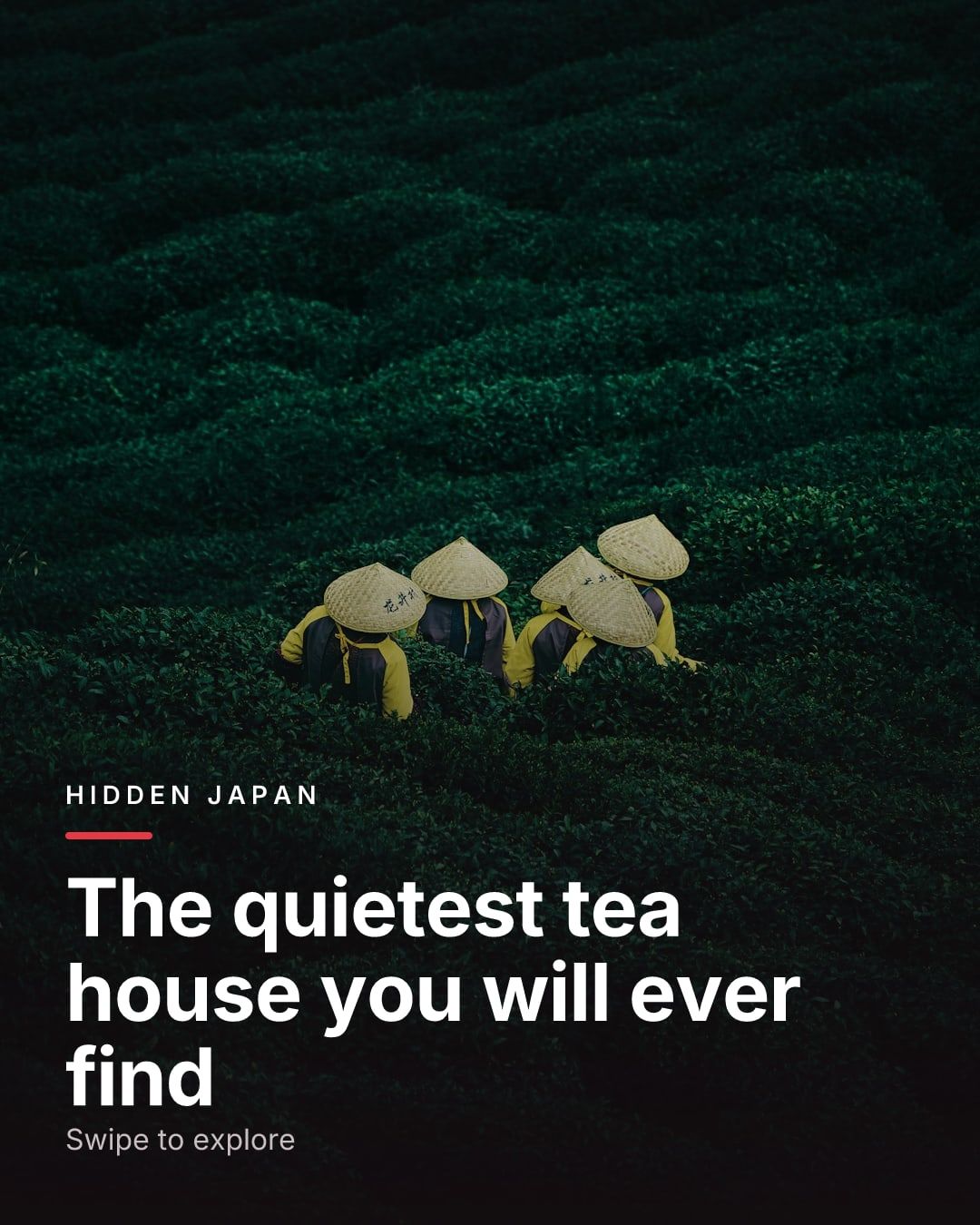 An Instagram post made with Vyral for a tea house